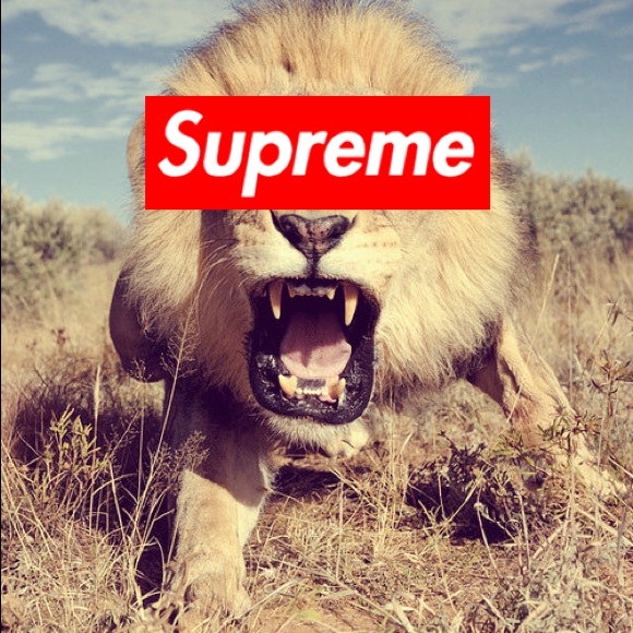 icantdosupreme